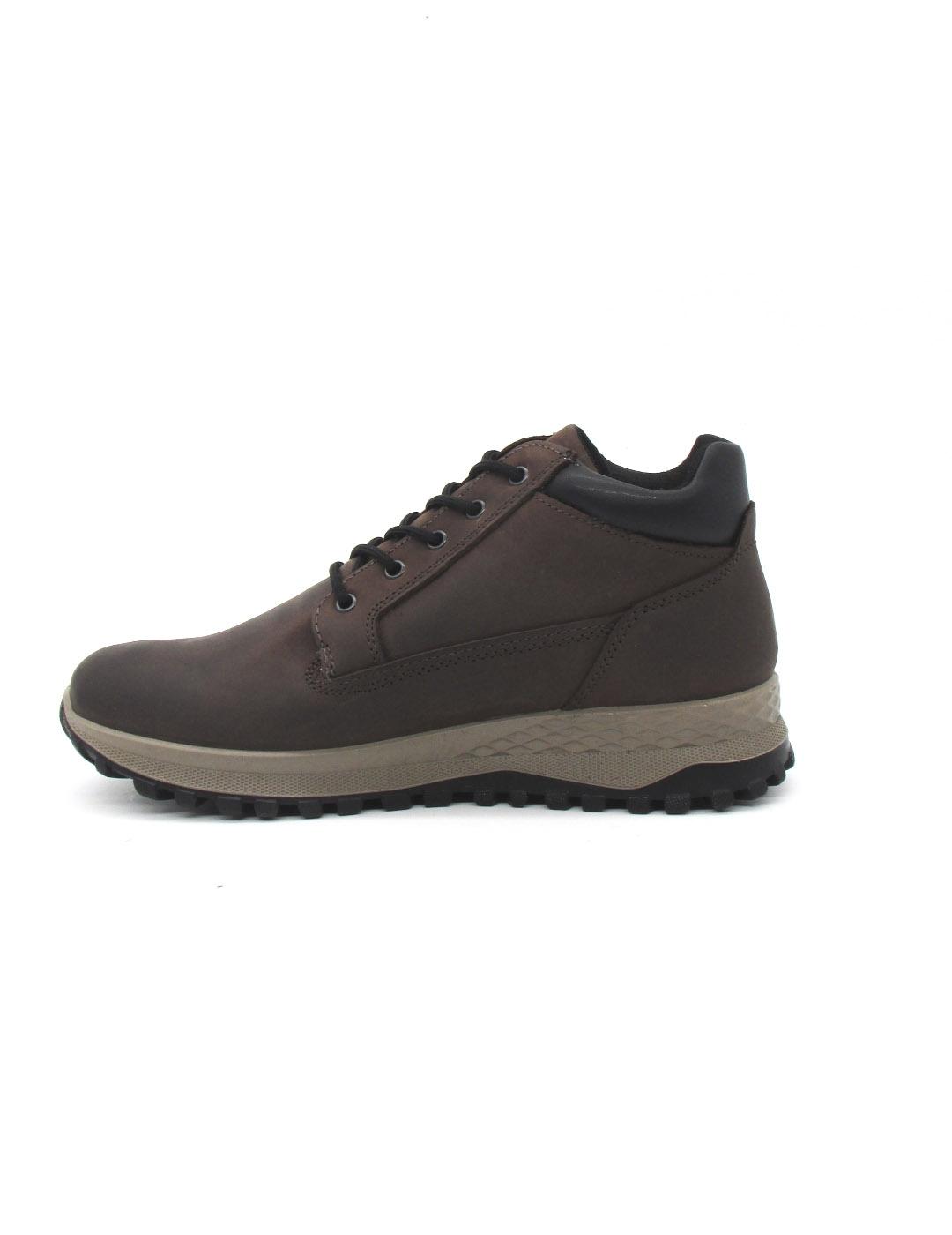 Botin IGI&CO 8625511 Gore-tex marrón para hombre